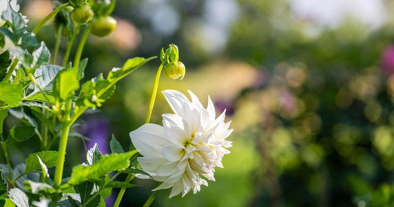 Afbeelding bij Kom erbij!