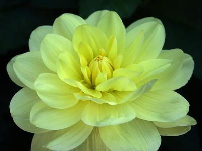 Glorie van Heemstede