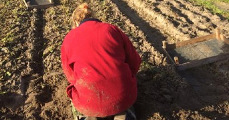 Afbeelding bij Fitness met dahlia's