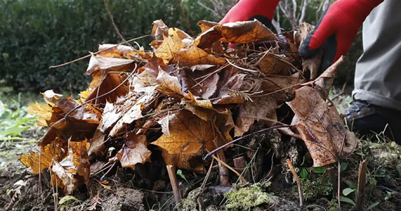 Afbeelding bij Een dekentje van bladeren