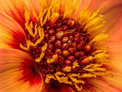 Happy Single First Love