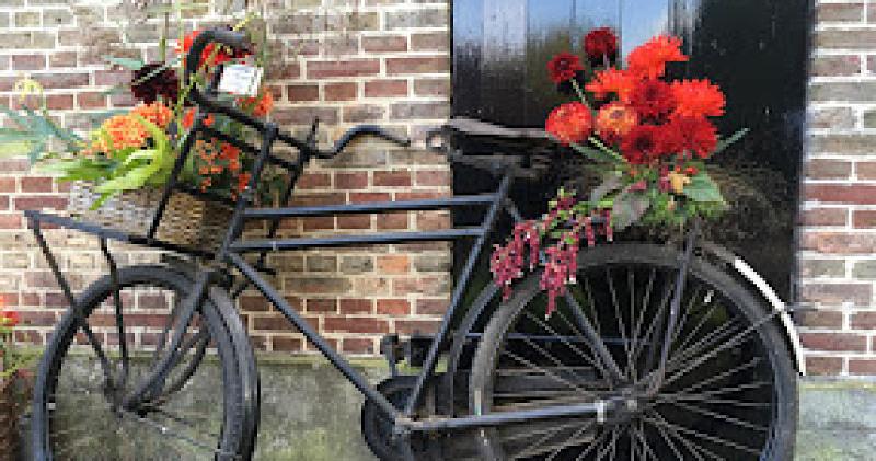 NK Dahliakweken 2025