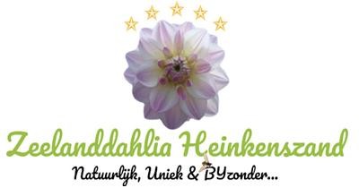 ZeelandDahlia