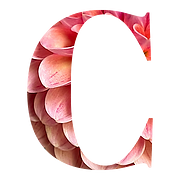 Central States Dahlia Society