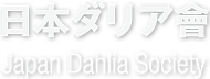 Japan Dahlia Society
